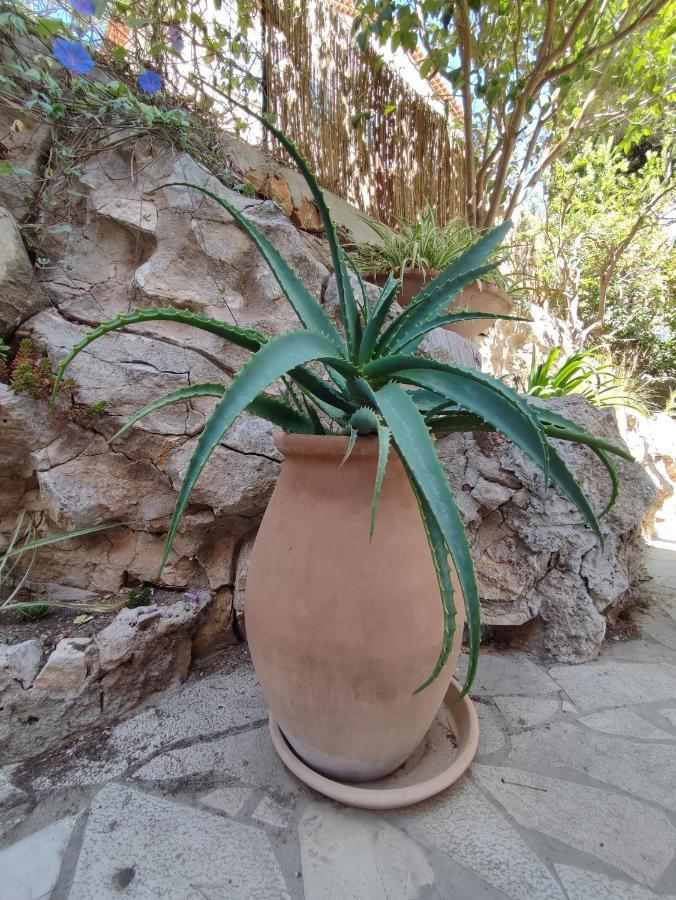 Les Galets Hotel Et B&B Bandol Kültér fotó